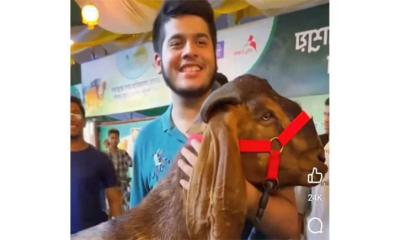 ১৫ লাখ টাকার ছাগল কিনে আলোচনায় তরুণ, যা বললেন সেই রাজস্ব কর্মকর্তা