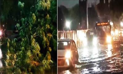 প্রবল ঝড়ে গাছ পড়ে নিহত ৪, আরও তিন দিন বজ্রবৃষ্টির শঙ্কা