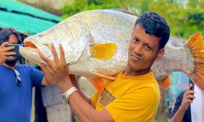 বড়শিতে ধরা পড়ল বিশালাকৃতির কোরাল, ৩৯ হাজারে বিক্রি
