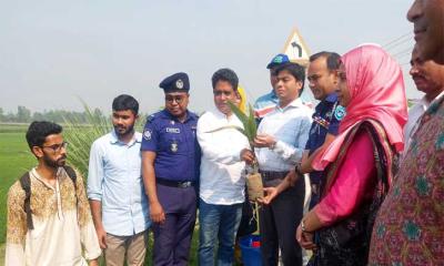 ধরলার পাড়ে সহস্রাধিক তালের বীজ বপন
