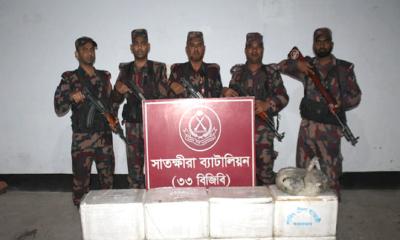 সাতক্ষীরায় জেলি পুশকৃত ১৬৪ কেজি বাগদা চিংড়ি জব্দ