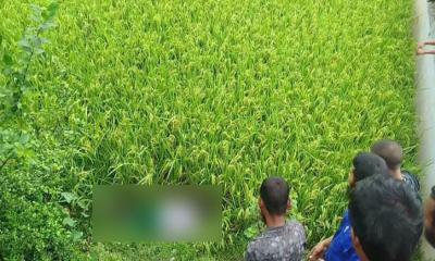 ধানক্ষেত থেকে অটোচালকের মরদেহ উদ্ধার