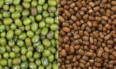 মুগ ডাল নিয়ে নিরাপদ খাদ্য কর্তৃপক্ষের সতর্কতা