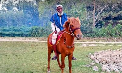 গোরখোদক মনু মিয়ার সঙ্গী সেই ঘোড়াটি মেরে ফেলল দুর্বৃত্তরা