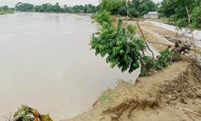 পানিতে টইটম্বুর নেতাই নদী, বাঁধ ভাঙার উপক্রম
