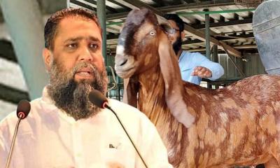 সাদিক অ্যাগ্রোর চেয়ারম্যান ইমরান গ্রেপ্তার