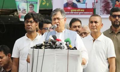 পতিত ফ্যাসিবাদী শক্তি হামলার সাহস পাবে, প্রত্যাশা করিনি : সালাহউদ্দিন