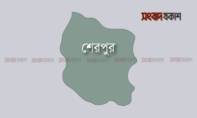 ভালোবাসা দিবসে বেড়াতে গিয়ে মেয়ে ধর্ষণের শিকার, লজ্জায় মায়ের বিষপান