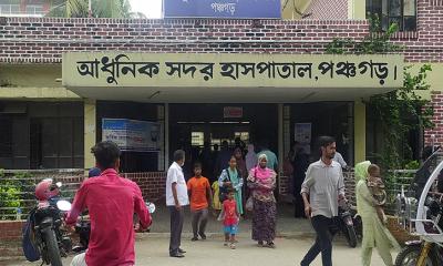 ক্ষেতে পড়ে ছিল বৈদ্যুতিক তার, বিদ্যুৎস্পৃষ্টে প্রাণ গেল ৩ জনের