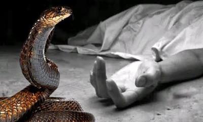 ঘুমের মধ্যে সাপের কামড়, প্রাণ গেল কিশোরের