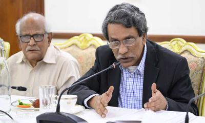 গণভোটে ‘না’ জিতলে কী হবে, জানালেন আলী রীয়াজ