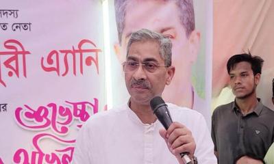 জুলাই গণহত্যায় ভারতের মদত ছিল: এ্যানি
