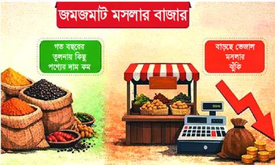 ঈদে জমজমাট মসলার বাজার