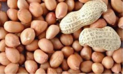 বাদাম উপকারী হলেও যারা খেতে পারবেন না