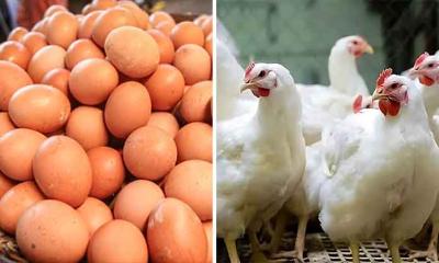 স্বস্তি ফিরেছে বাজারে: ডিমের ডজন ১০০, ব্রয়লারের কেজি ১৫০