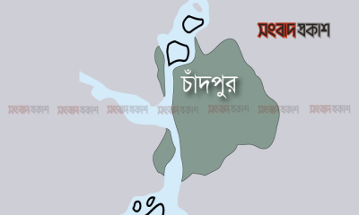 ভিমরুলের কামড়ে কৃষকের মৃত্যু