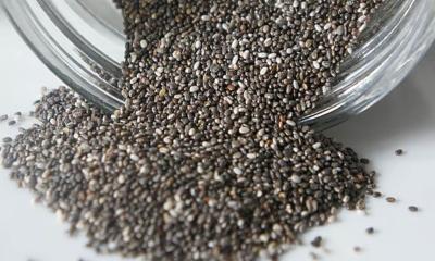 কাদের চিয়া সিড খাওয়া উচিত নয়