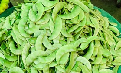 পাওয়া যাচ্ছে আগাম শিম