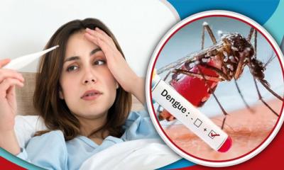 ডেঙ্গু নাকি মৌসুমি ভাইরাল জ্বর, বুঝবেন কীভাবে?