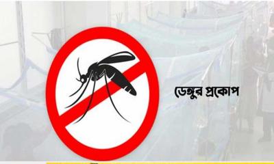 বাড়ছে ডেঙ্গুর প্রকোপ: আক্রান্ত ও মৃত্যু দ্বিগুণ