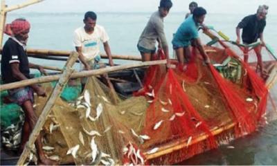 মধ্যরাত থেকে ইলিশ ধরা বন্ধ হচ্ছে 