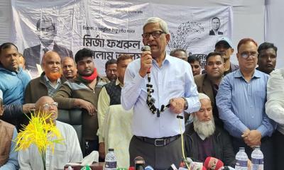 দাঁড়িপাল্লায় যারা ভোট চাচ্ছে তারা স্বাধীনতার বিপক্ষে ছিল