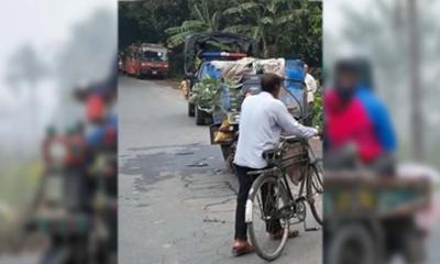 জামায়াত নেতার মাছ লুট, বিএনপির ২ নেতা বহিষ্কার