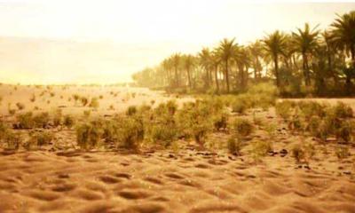 রক্তে লেখা ইতিহাস: কারবালা থেকে কায়রো
