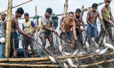 আর্থিক সহায়তা চান চাঁদপুরের জেলেরা