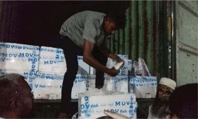 ভারতে গেল ৩৭ মেট্রিক টন ইলিশ