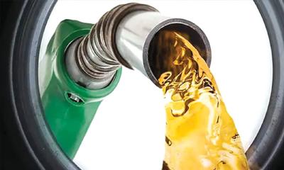 জ্বালানি সঙ্কট মোকাবিলায় মাসে ১৫ হাজার টন তেল দেবে ভারত