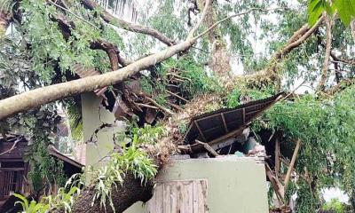 সিলেটে ঝড়ের তাণ্ডবে শতাধিক ঘরবাড়ি ক্ষতিগ্রস্ত