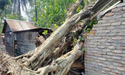 ১৫ মিনিটের ঝড়ে তিন উপজেলায় ব্যাপক ক্ষতি