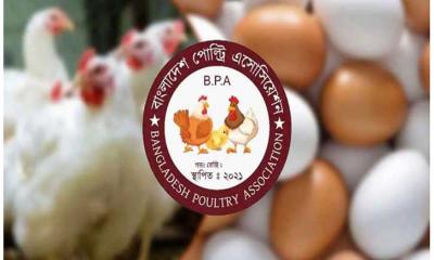 পহেলা মে থেকে সারা দেশে ডিম-মুরগির খামার বন্ধ
