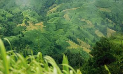 সেনা অভিযান চলছে, কেএনএর কমান্ডারসহ নিহত ২