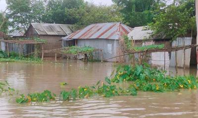 বিপৎসীমার ৩৩ সেন্টিমিটার ওপরে তিস্তার পানি