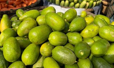বাজারে লেবুর দাম ডজন প্রতি ৩৫০ টাকায! 