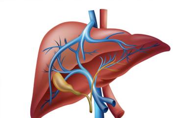 লিভার সুস্থ রাখার উপায়