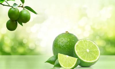 রোজার মাস আসলেই লেবুর দাম কেন বাড়ে ?