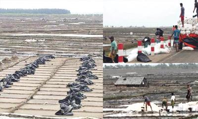 কালবৈশাখীতে লবণের মাঠ তছনছ