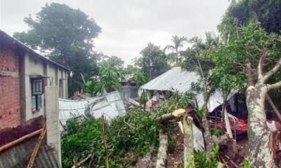 হঠাৎ ঝড়ে লন্ডভন্ড ৫ গ্রাম