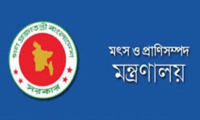 ১২০ টাকায় ব্রাজিল থেকে গরুর মাংস আনার ব্যাপারে যা জানাল প্রাণিসম্পদ মন্ত্রণালয়