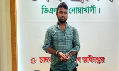 নোয়াখালীতে ৮ হাজার পিস ইয়াবাসহ মাদক কারবারি গ্রেপ্তার