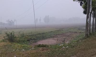 আগামী ৫ দিন শীতের তীব্রতা কেমন থাকবে, জানাল আবহাওয়া অফিস