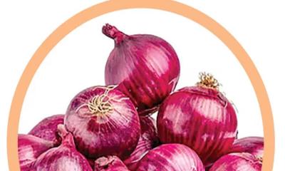 পেঁয়াজের দাম বেড়েছে ১৫০ শতাংশ
