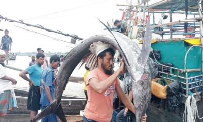 কুয়াকাটায় ধরা পড়ল ৩টি পাখি মাছ