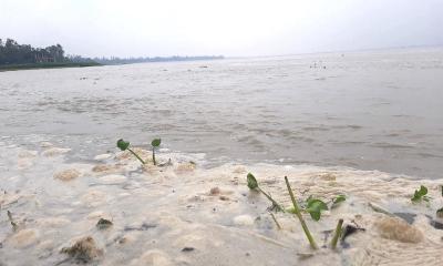 কুড়িগ্রামে বিপৎসীমার কাছাকাছি তিস্তা, প্লাবিত নিম্নাঞ্চল