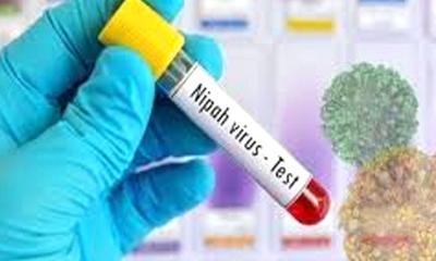 ভারতে নিপাহ প্রাদুর্ভাব