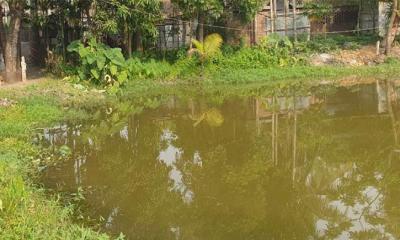 পানিতে ডুবে প্রাণ গেল ভাই-বোনের