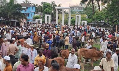 শহীদ মিনার প্রাঙ্গণে গরুর হাট, বেদিতে বসে পান-সিগারেট বিক্রি
